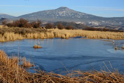 DSC_3054 (Large).JPG